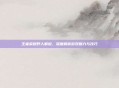 王者荣耀野人解说，深度解析游戏魅力与技巧