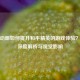 皮肤动画如何提升和平精英的游戏体验？——深度解析与视觉影响