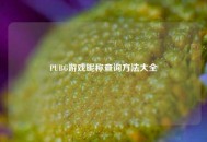 PUBG游戏昵称查询方法大全