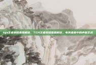 tga王者荣耀直播解说，TGA王者荣耀直播解说，电竞盛宴中的声音艺术