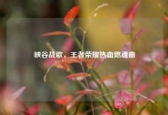 峡谷战歌，王者荣耀热血燃魂曲