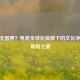 CSGO无国界？电竞全球化浪潮下的文化冲突与破局之道
