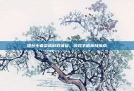 提升王者荣耀游戏体验，游戏手柄连接指南