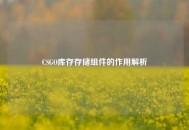 CSGO库存存储组件的作用解析
