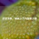 逆战天极，破局之力与智谋之巅