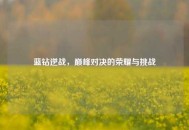 蓝钻逆战，巅峰对决的荣耀与挑战