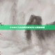CSGO工会名背后的文化与策略解析