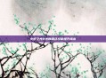 火炬之光2法师角色技能提升指南