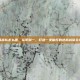 逆战战队怎么建，从零到一，打造一支能打的逆战战队全攻略