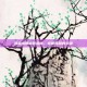 炼金术师出装指南，掌握胜利的关键