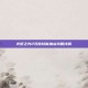 火炬之光2双枪技能加点攻略详解