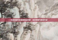 王者荣耀玩家遭遇网络问题，应对策略与解决方案