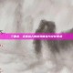 三国杀，正版达人的游戏体验与文化传承