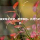 逆战抽奖箱全攻略，概率解析、技巧与心理博弈