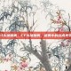 cf头像烟雾，CF头像烟雾，迷雾中的战术美学