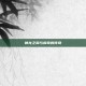 神龙之翼与库奇的传奇