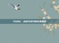 PUBG，战术与技巧的完美融合