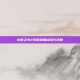 火炬之光2双枪流加点技巧详解