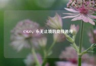 CSGO，永无止境的竞技追寻