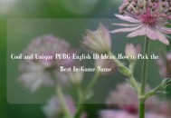 Cool and Unique PUBG English ID Ideas: How to Pick the Best In-Game Name