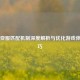 PUBG亚服匹配机制深度解析与优化游戏体验技巧