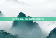 DNF领主之塔，揭秘等级限制与神秘入口