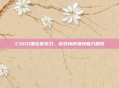 CSGO黑色套装刀，游戏内的独特魅力展现