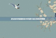 逆战游戏画面缩小问题分析及解决策略