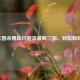 三国杀魏延闪避流破解三招，轻松制敌！