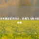三国杀黄盖首轮苦肉计，高爆发与高风险博弈解析