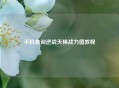 手机查询逆战天梯战力值教程