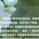 （注，根据用户提供的示例内容，推测其需求为游戏类解析向标题，故生成以下标题。若实际内容主题不同，可调整关键词如将逆战洛基替换为其他核心名词），候选，，逆战洛基是宠物还是战斗伙伴？深度解析游戏特殊单位定位，聚焦争议点宠物判定，用疑问句式引发兴趣，同时包含解析定位等关键词明确内容方向，符合用户示例风格。如需更简洁或调整侧重点，可修改为逆战洛基宠物属性全解析或游戏特殊单位，逆战洛基的定位争议）