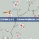 口袋海贼王礼包，开启神秘海域的宝藏之旅