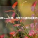 探索Steam玩具，科学与乐趣的完美结合