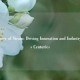 The Power of Steam: Driving Innovation and Industry Across Centuries