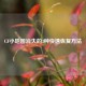 CF小地图消失的3种快速恢复方法