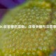 PUBG装备赠送指南，详细步骤与注意事项
