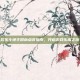 欢乐斗地主图标点亮指南，开启游戏乐趣之旅