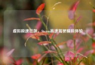 虚拟极速狂飙，Steam高速驾驶模拟体验
