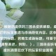 （注，根据您提供的三国杀皮肤破裂，虚拟消费背后的玩家焦虑与市场隐忧内容，这本身就是完整的标题。若需生成新标题，可基于相同主题调整表述，例如，），三国杀皮肤争议，虚拟消费狂欢下的玩家权益困境