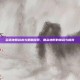多塔地图战术与策略探索，复杂地形的挑战与应对