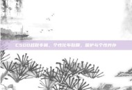 CSGO战靴专属，个性化车贴膜，保护与个性并存