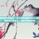 和平精英如何调效果显示，和平精英画面设置全攻略，如何调出最佳效果显示，流畅与画质兼得