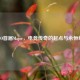 CS:GO首届Major，电竞传奇的起点与永恒经典
