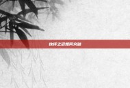 抉择之沼如何突破