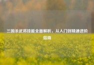 三国杀武将技能全面解析，从入门到精通进阶指南