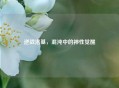 逆战洛基，混沌中的神性觉醒