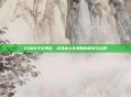 PUBG中文弹窗，游戏本土化策略的探索与实践