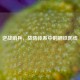 逆战哨兵，战防体系中的钢铁防线