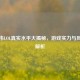 余庆伟LOL真实水平大揭秘，游戏实力与风格全解析